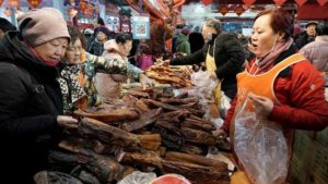 Wuhan: mercato del pesce